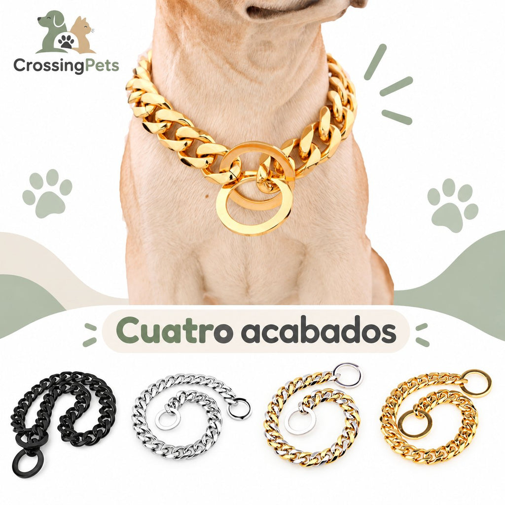 Collar de cadena de acero inoxidable — CrossingPets · imagen 5