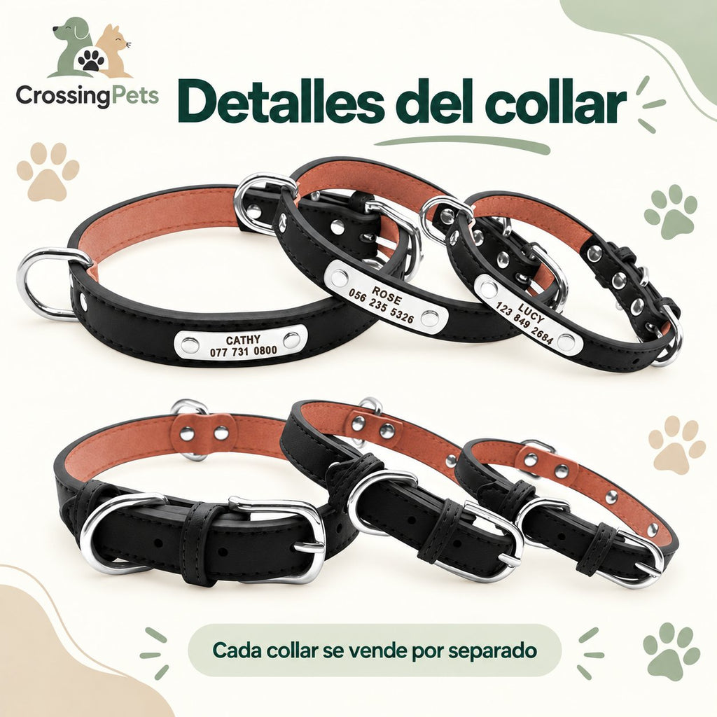 Collar de cuero personalizado con placa — CrossingPets · imagen 7