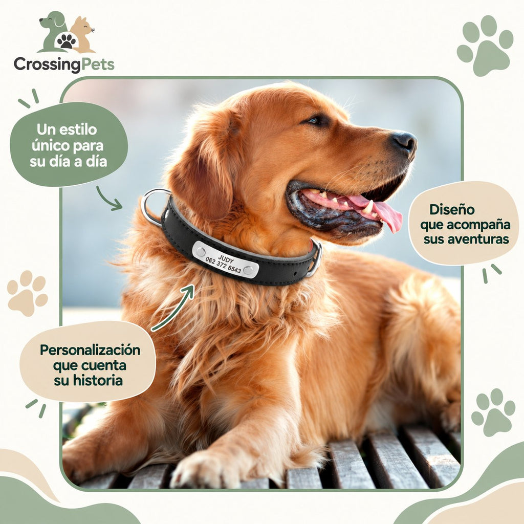 Collar de cuero personalizado con placa — CrossingPets · imagen 13