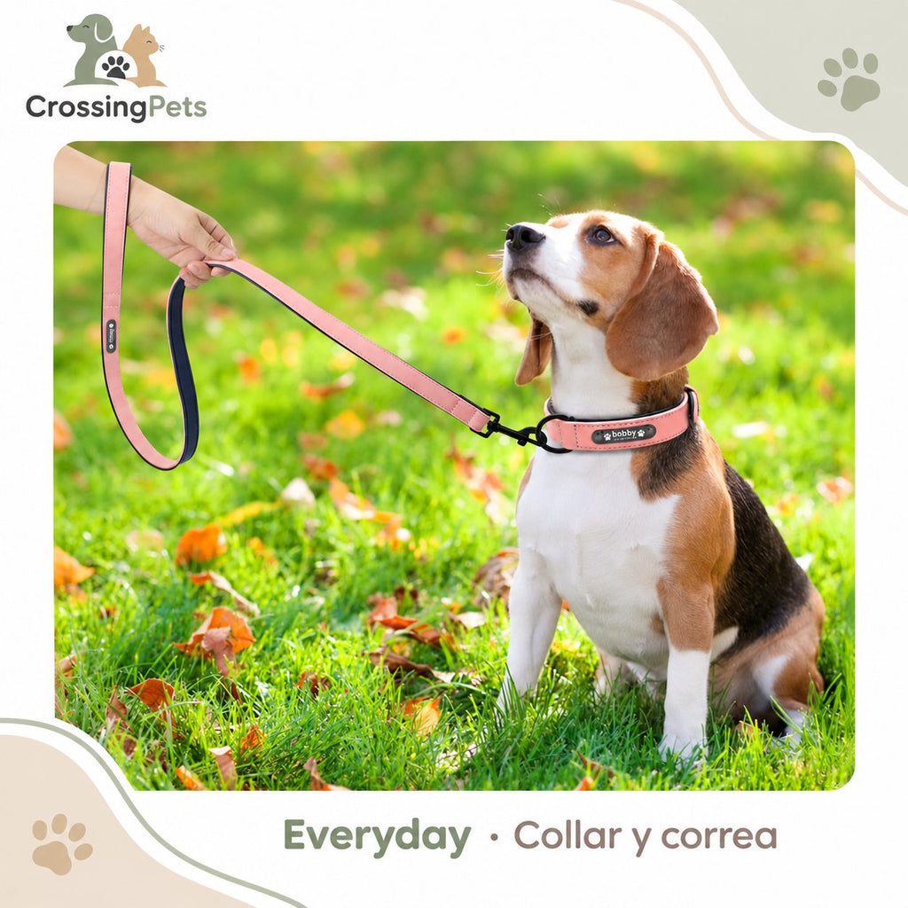 Collar personalizado Everyday y correa opcional — CrossingPets · imagen 17
