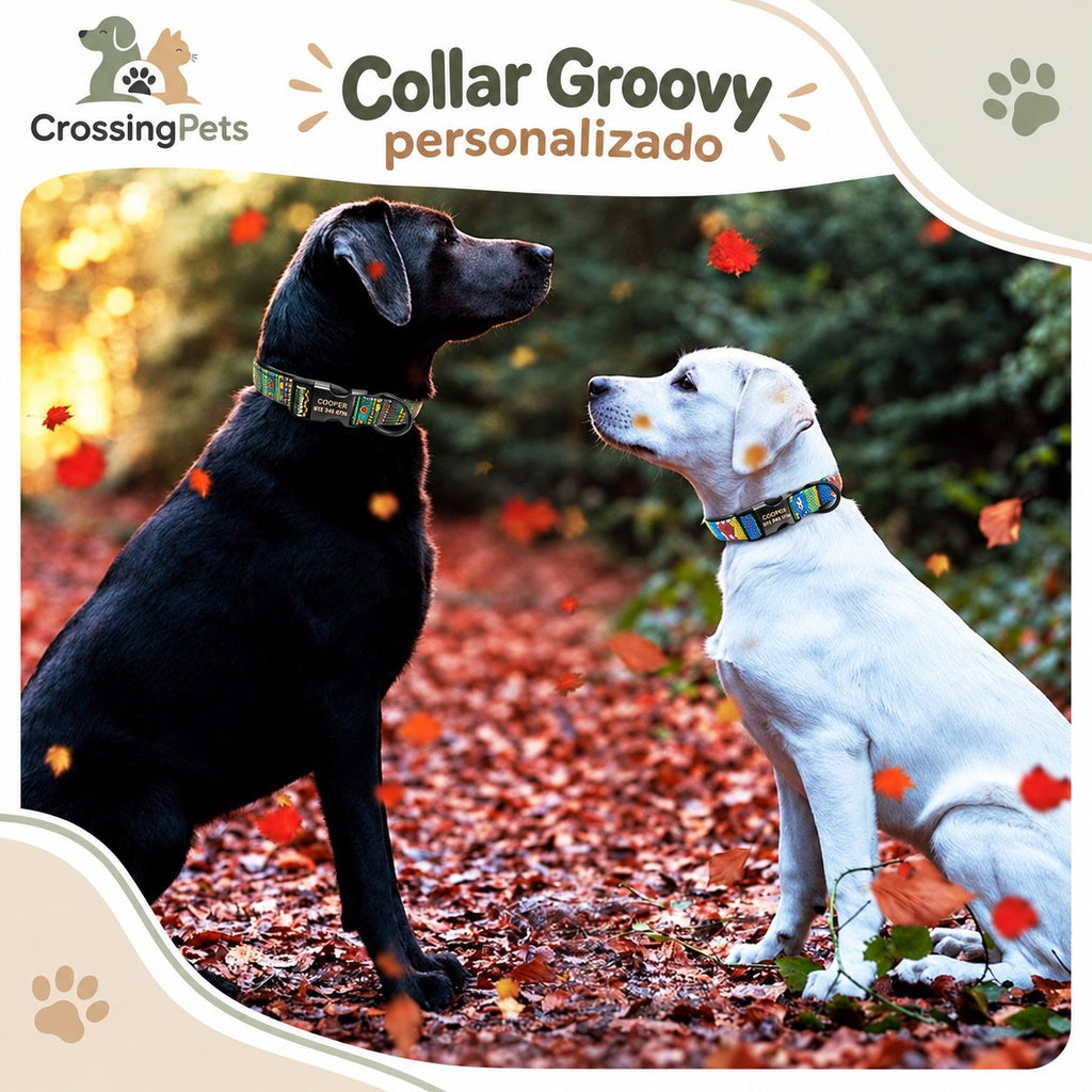 Collar estampado Groovy personalizado — CrossingPets · imagen 7