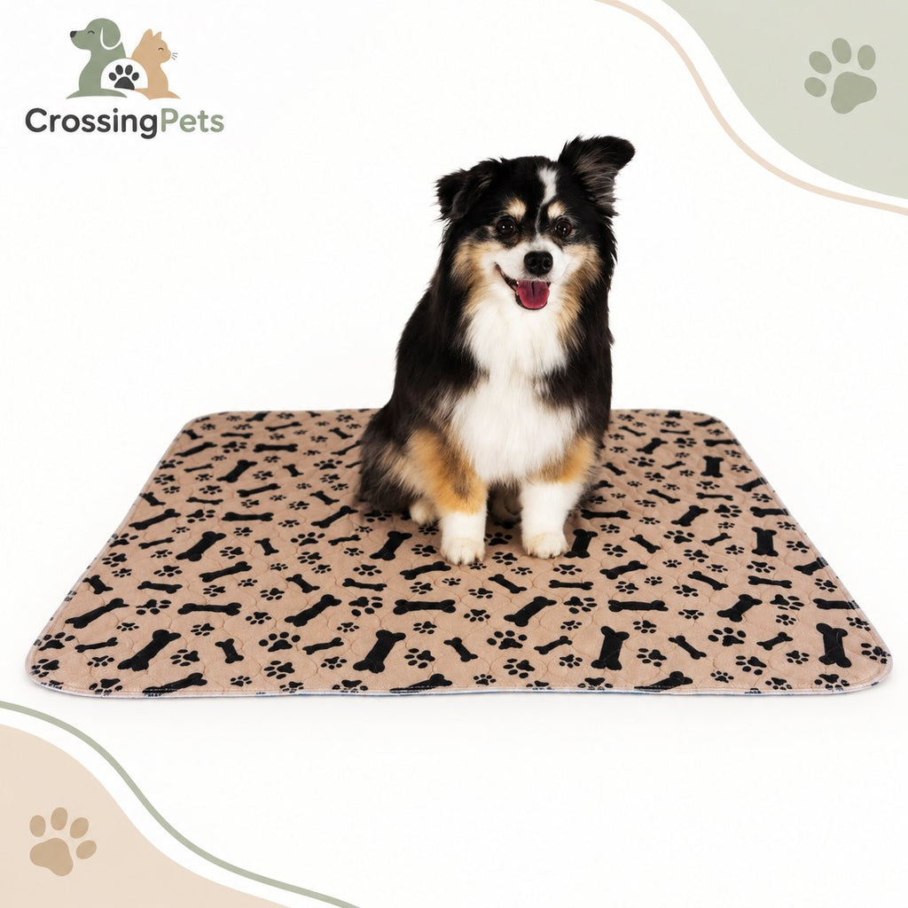 Protector absorbente lavable para mascotas — CrossingPets · imagen 11
