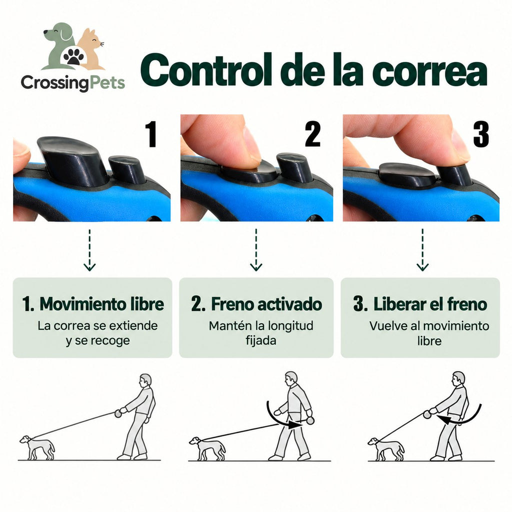 Correa extensible para perros de 3 o 5 m — CrossingPets · imagen 6