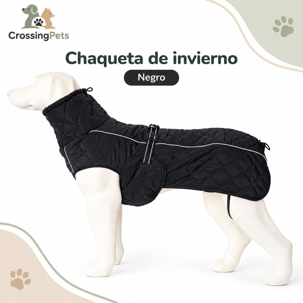 Chaqueta de invierno Everyday para perros — CrossingPets · imagen 1