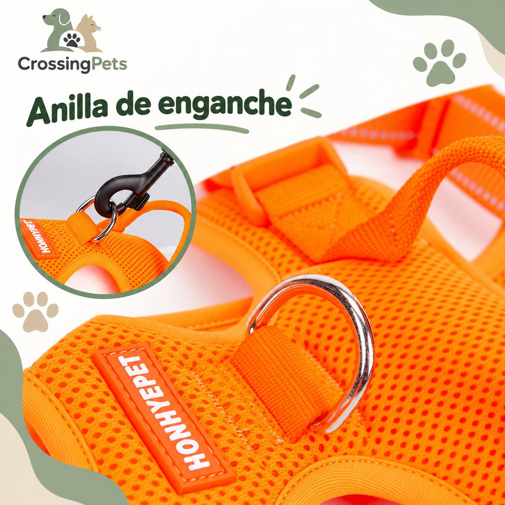 Arnés Adventure con doble enganche — CrossingPets · imagen 7