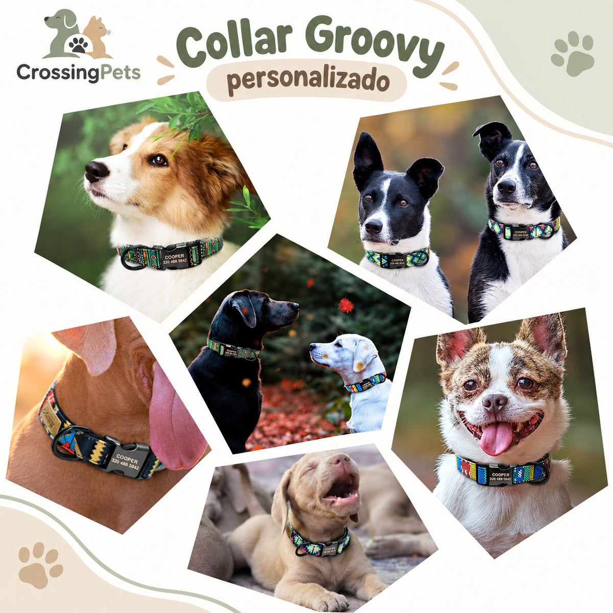 Collar estampado Groovy personalizado — CrossingPets · imagen 9