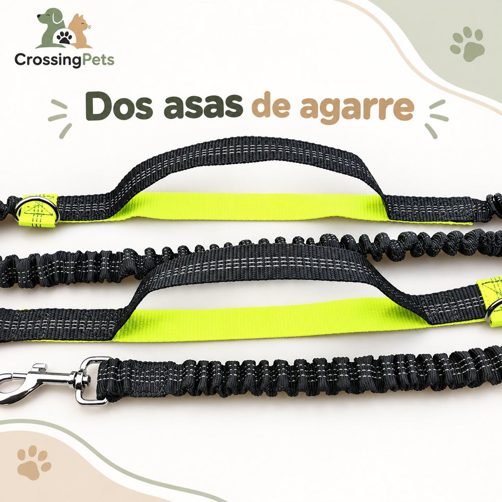 Correa manos libres para correr con cinturón — CrossingPets · imagen 11