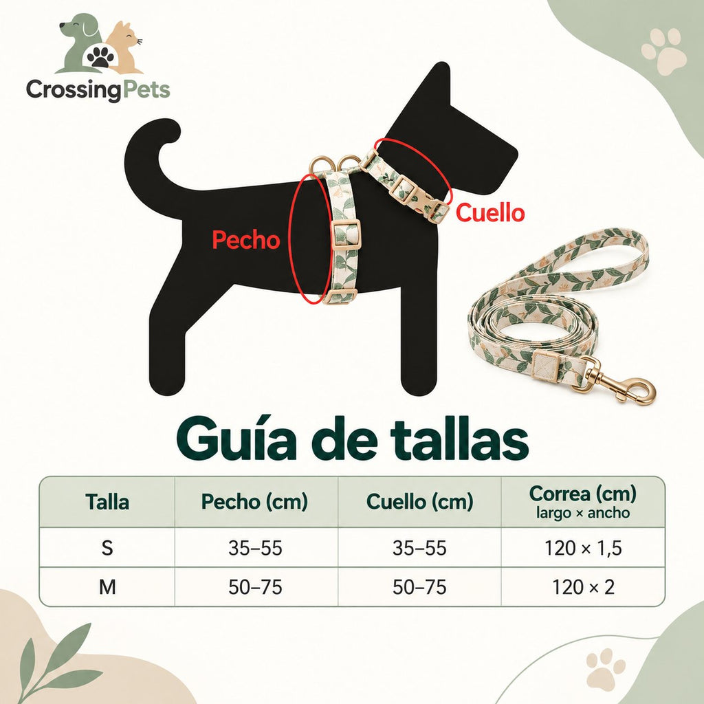 Arnés estampado con correa a juego — CrossingPets · imagen 8