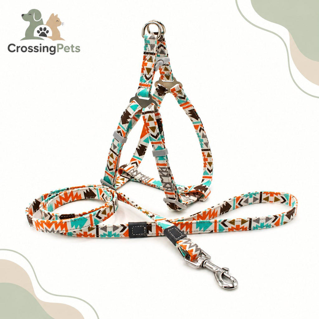Arnés estampado con correa a juego — CrossingPets · imagen 1