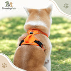 Arnés transpirable con bandas reflectantes — CrossingPets · imagen 11