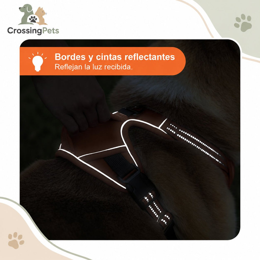 Arnés transpirable con bandas reflectantes — CrossingPets · imagen 9
