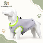 Chaleco refrescante con anilla para correa — CrossingPets · imagen 3
