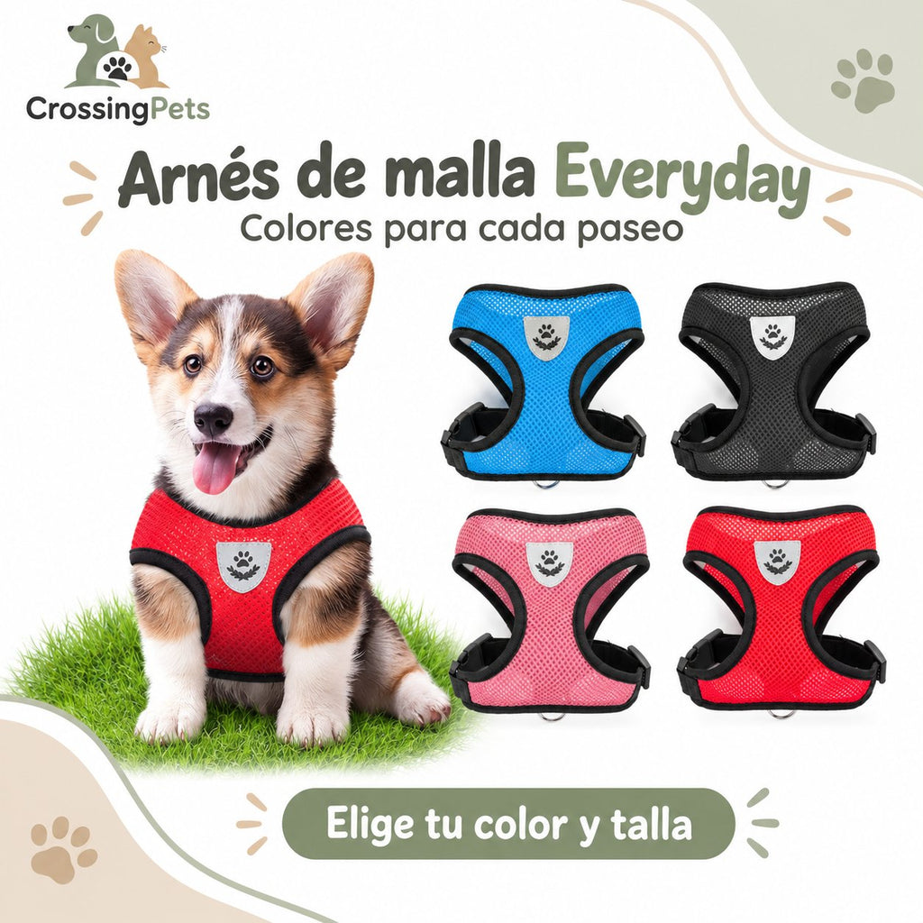 Arnés Everyday de malla para perros pequeños — CrossingPets · imagen 8