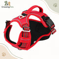 Arnés transpirable con bandas reflectantes — CrossingPets · imagen 1
