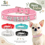 Collar personalizado con letras brillantes · hasta 5 letras — CrossingPets · imagen 6