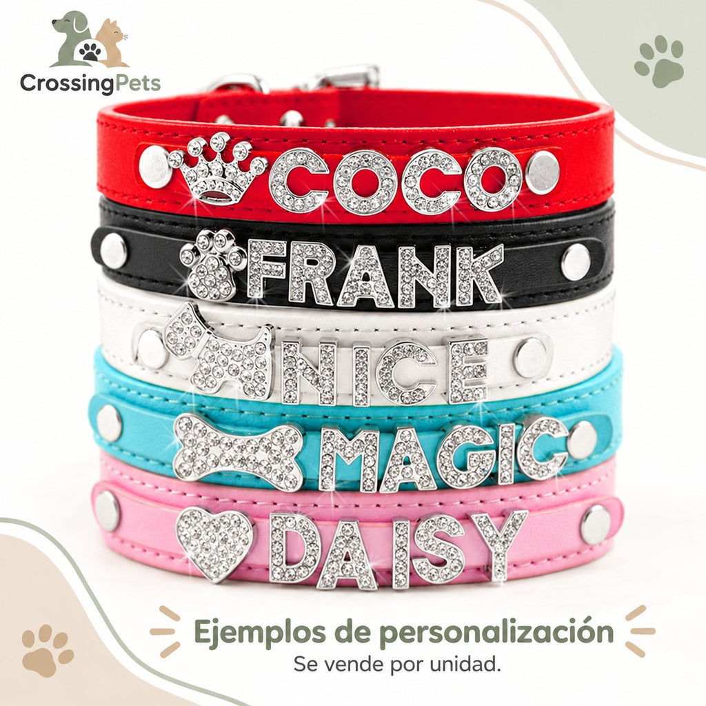 Collar personalizado con letras brillantes · hasta 5 letras — CrossingPets · imagen 10