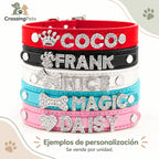 Collar personalizado con letras brillantes · hasta 5 letras — CrossingPets · imagen 10