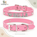 Collar personalizado con letras brillantes · hasta 5 letras — CrossingPets · imagen 1
