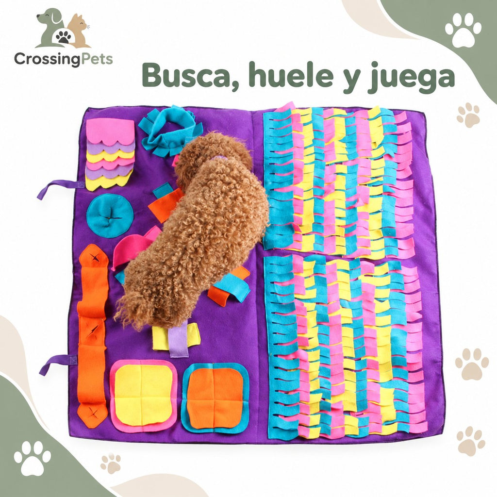 Alfombra olfativa para perros con escondites — CrossingPets · imagen 7