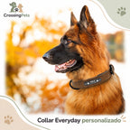 Collar personalizado Everyday y correa opcional — CrossingPets · imagen 21