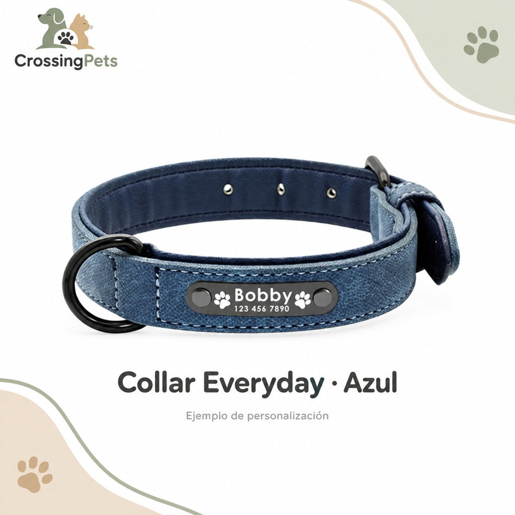 Collar personalizado Everyday y correa opcional — CrossingPets · imagen 1