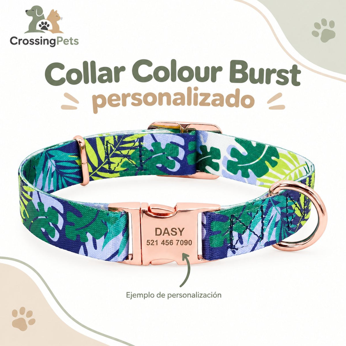 Collar Colour Burst personalizado — CrossingPets · imagen 2