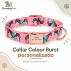 Collar Colour Burst personalizado — CrossingPets · imagen 1