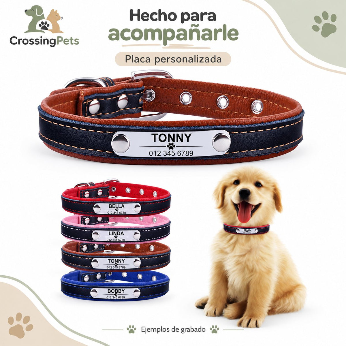 Collar clásico personalizado con placa — CrossingPets · imagen 5