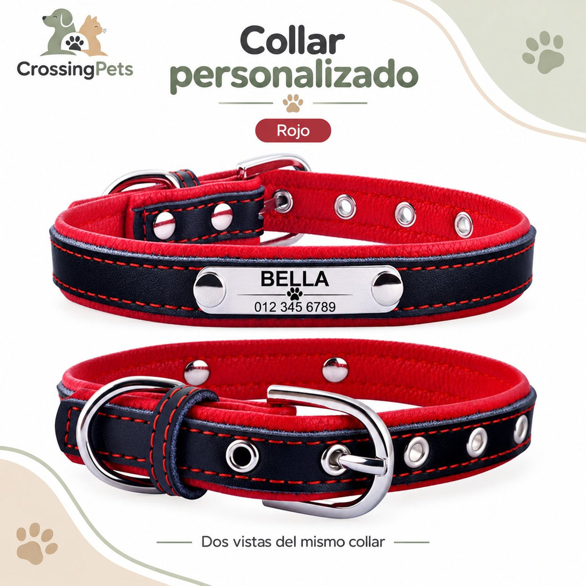 Collar clásico personalizado con placa — CrossingPets · imagen 1