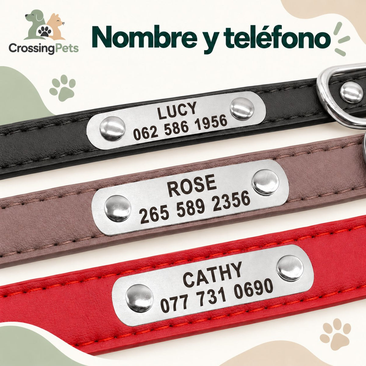 Collar de cuero personalizado con placa — CrossingPets · imagen 10