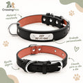 Collar de cuero personalizado con placa — CrossingPets · imagen 1