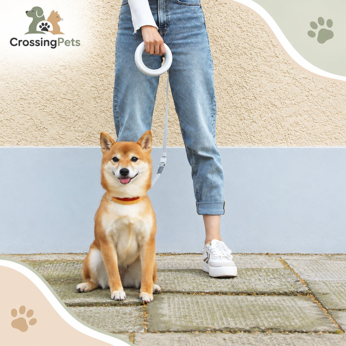 Correa extensible tipo pulsera con LED · 3 m — CrossingPets · imagen 8