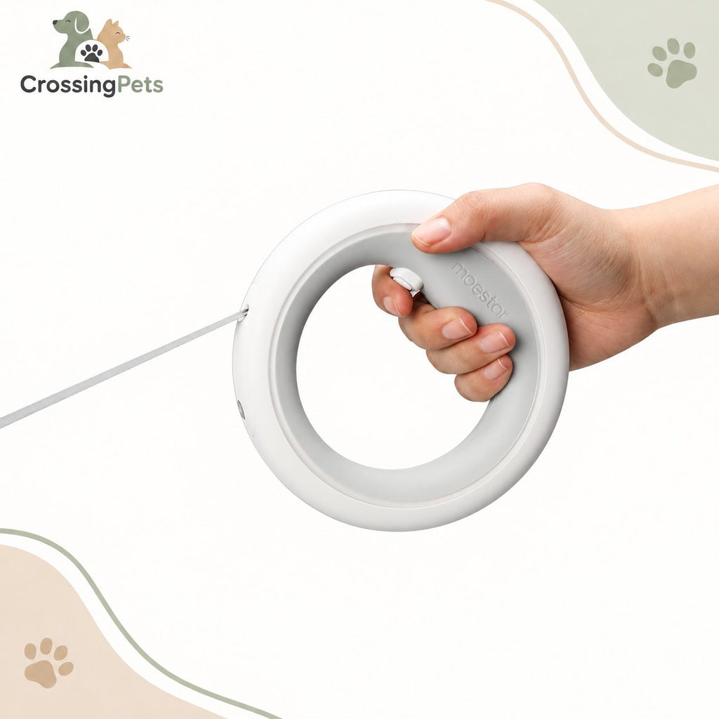 Correa extensible tipo pulsera con LED · 3 m — CrossingPets · imagen 10
