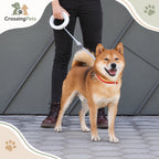 Correa extensible tipo pulsera con LED · 3 m — CrossingPets · imagen 13