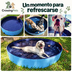 Piscina plegable para perros — CrossingPets · imagen 5