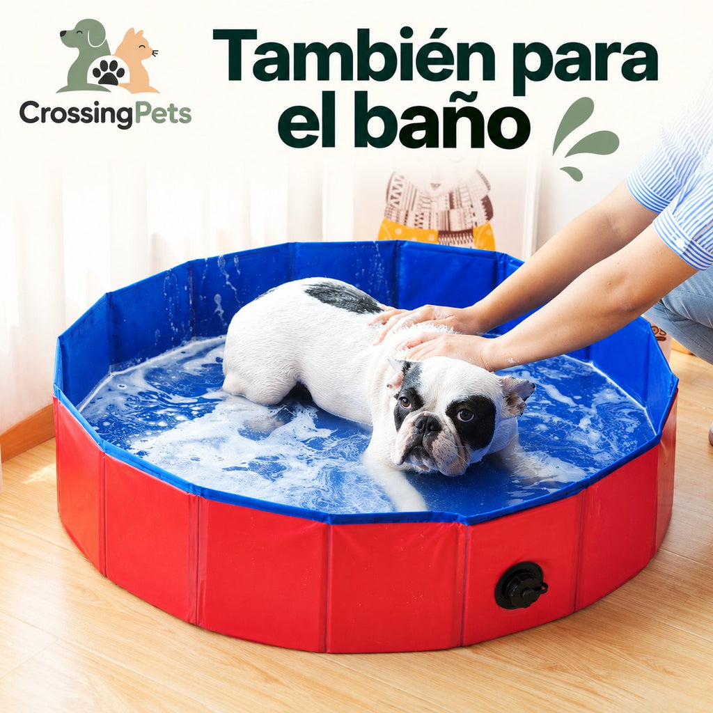 Piscina plegable para perros — CrossingPets · imagen 4