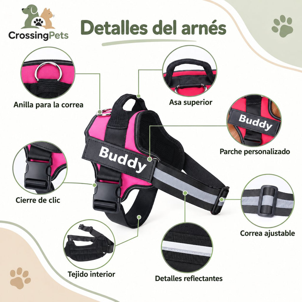 Arnés personalizado con nombre y teléfono — CrossingPets · imagen 12