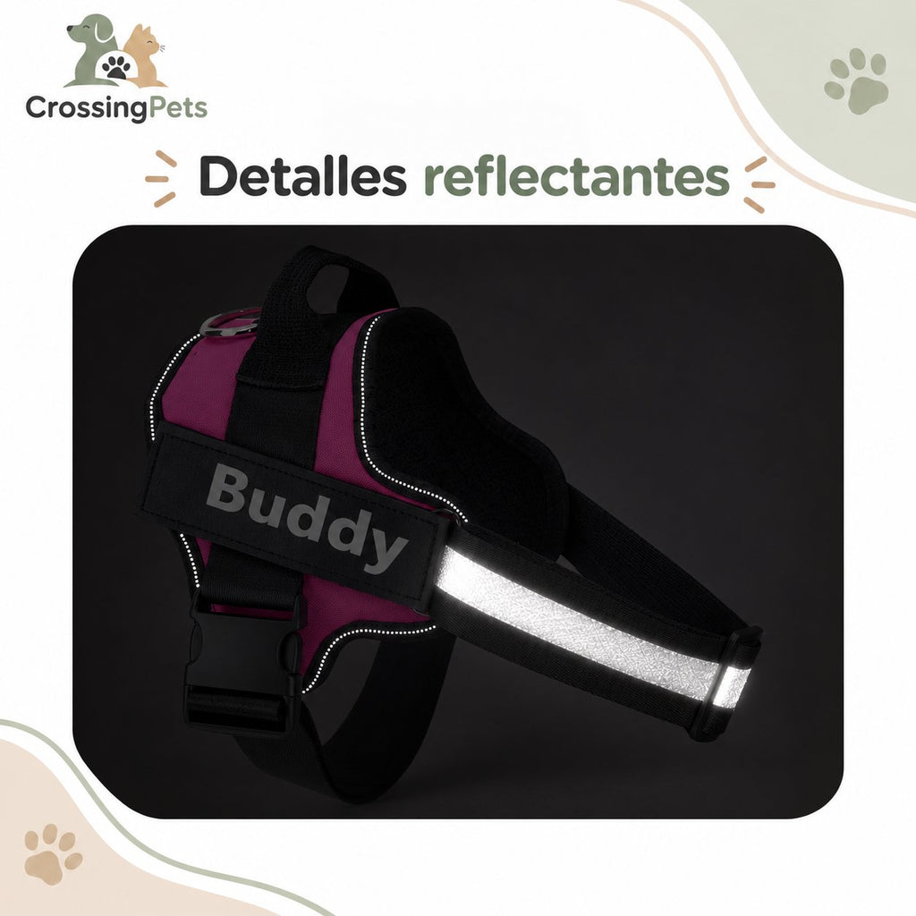 Arnés personalizado con nombre y teléfono — CrossingPets · imagen 11