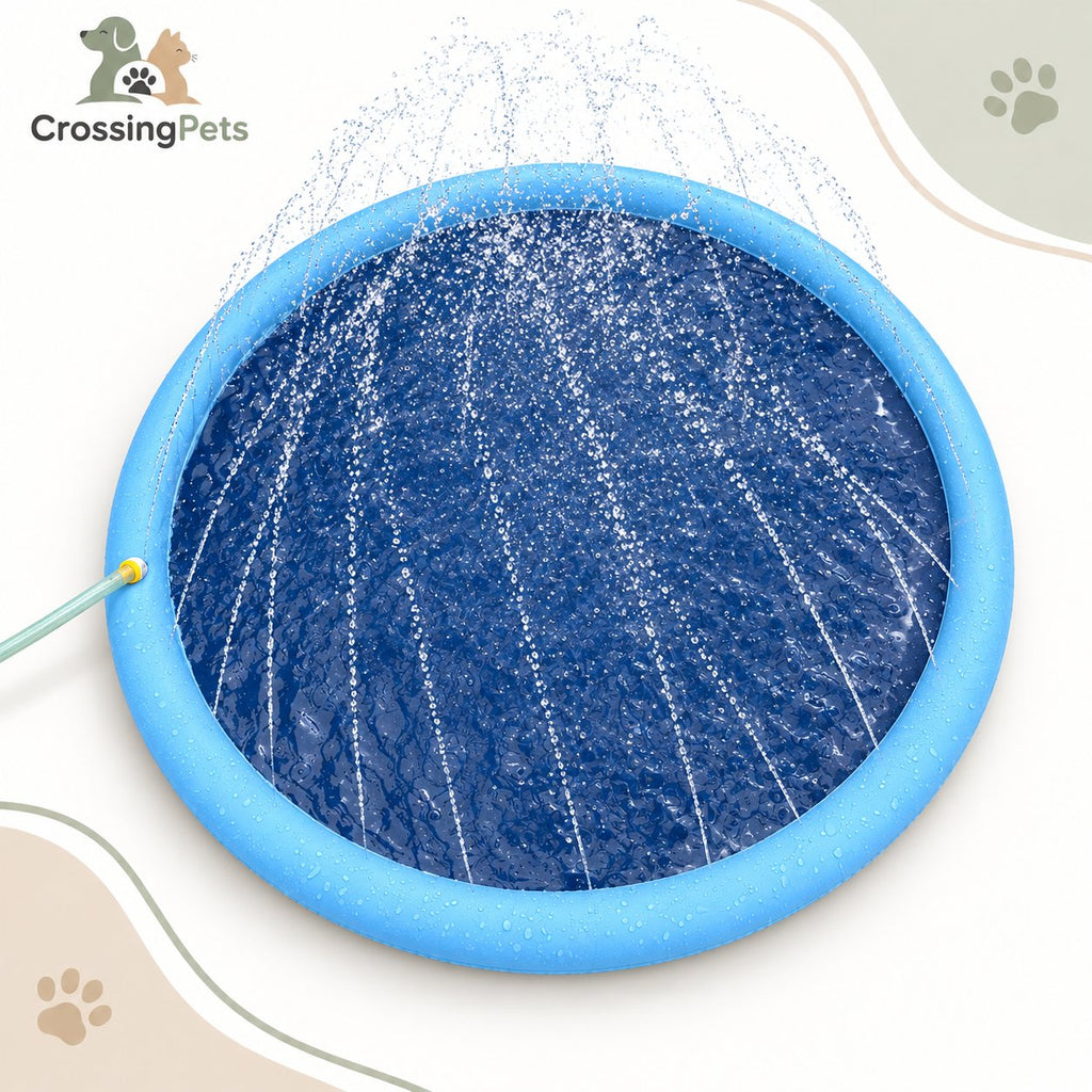 Alfombra de agua con aspersores para perros — CrossingPets · imagen 4