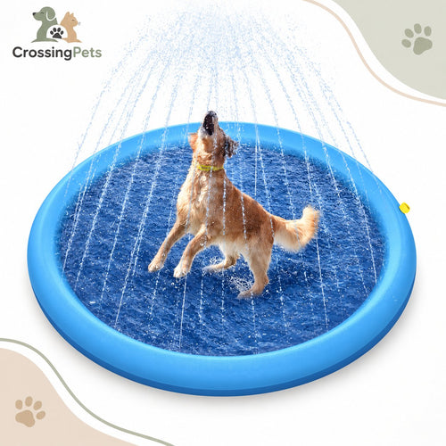 Alfombra de agua con aspersores para perros — CrossingPets · imagen 2