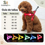 Arnés luminoso LED para perros — CrossingPets · imagen 16