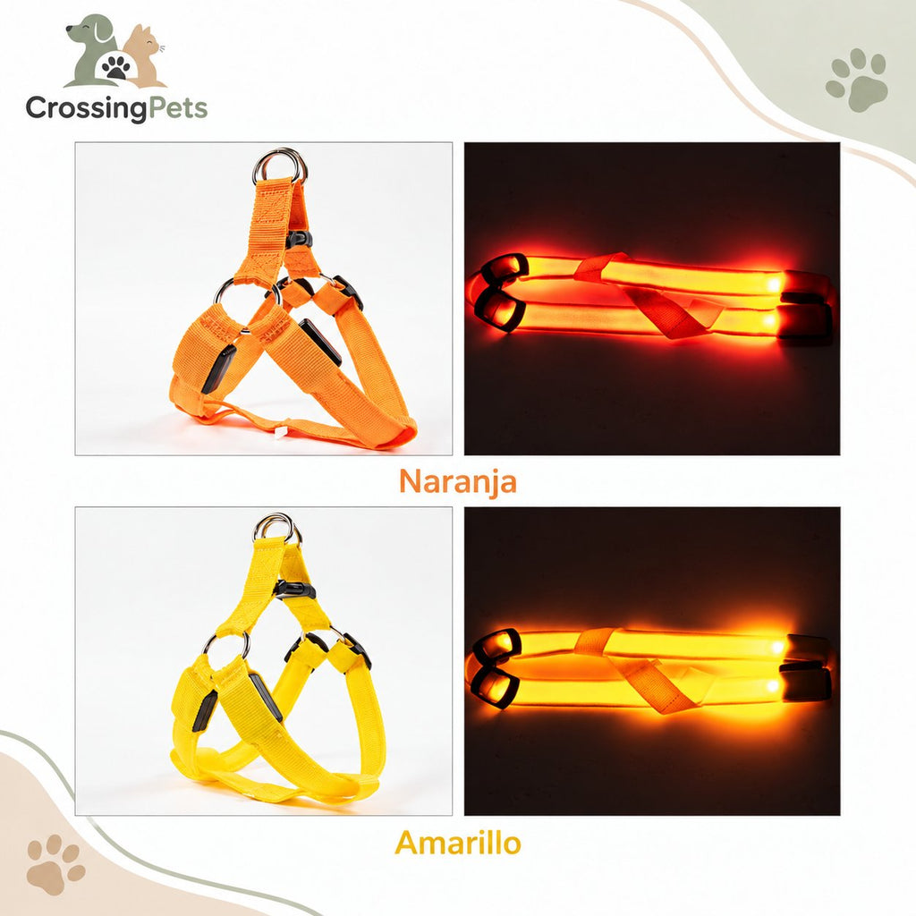 Arnés luminoso LED para perros — CrossingPets · imagen 11