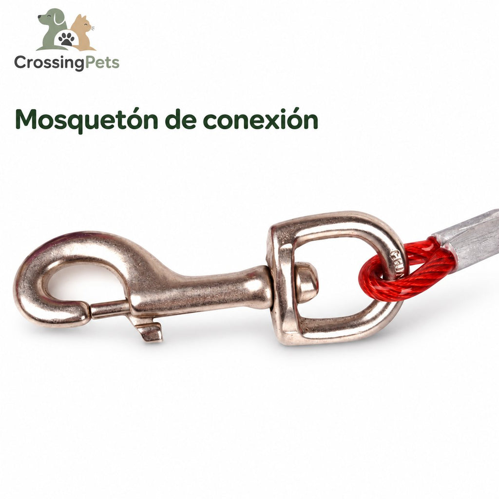Detalle del cable de sujeción para perros — CrossingPets