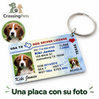 Placa personalizada con fotografía de tu perro — CrossingPets