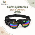 Gafas ajustables para perros — CrossingPets · imagen 1