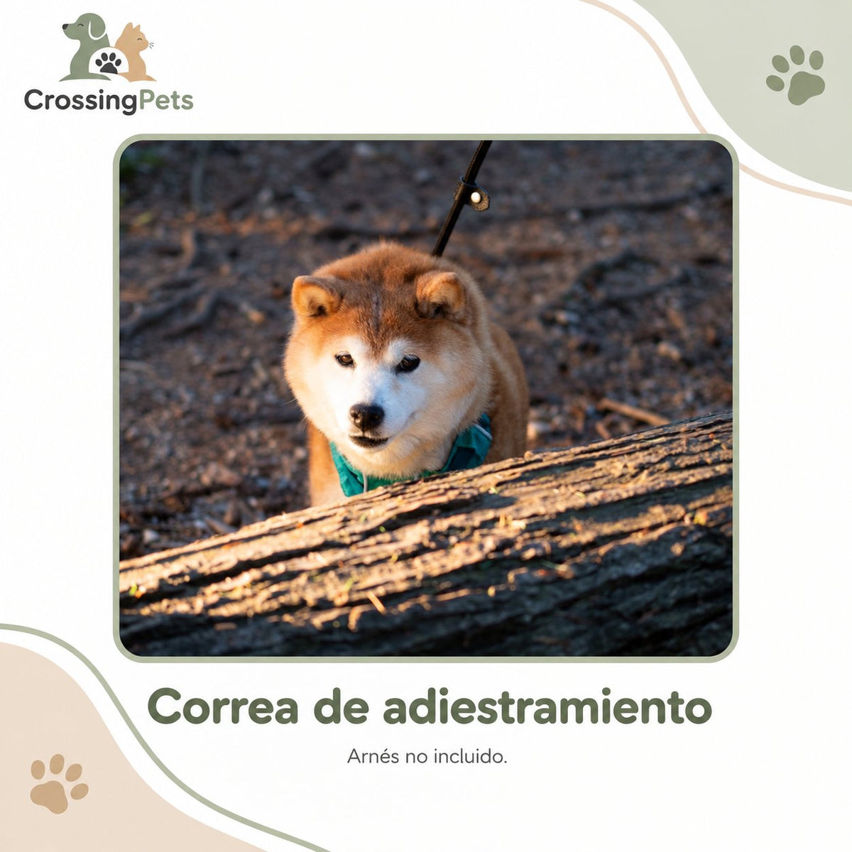Correa de cuerda para adiestramiento · 130 cm — CrossingPets · imagen 7